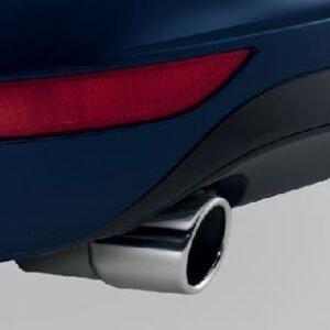 Passat [36] Exhaust Trim